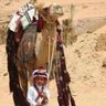 Profilbild von راعي البل 🐪🐪