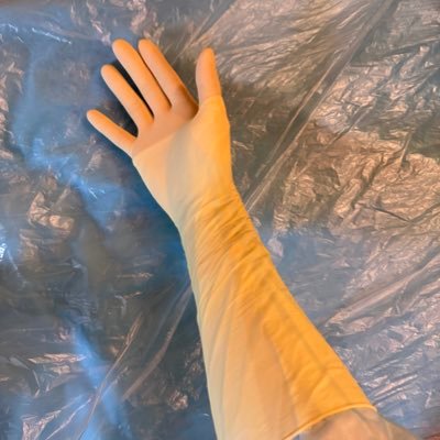 てぶくろう's profile picture