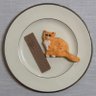 Catstat Veta's profile picture