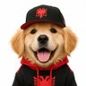 Profilbild von MK_Principal