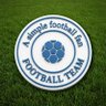 Profilbild von A simple football fan