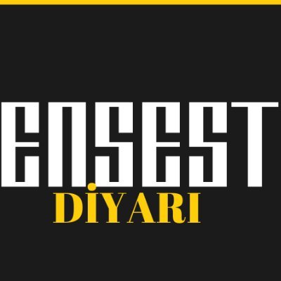 ENSEST_DIYARIX's profile picture