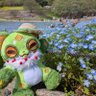 こいもの profil fotoğrafı