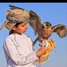 أبو الخليل 的头像