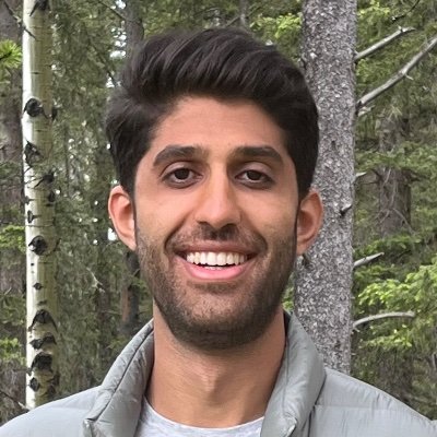 Ali Shobeiri's profile picture