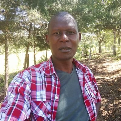 pkomot's profile picture