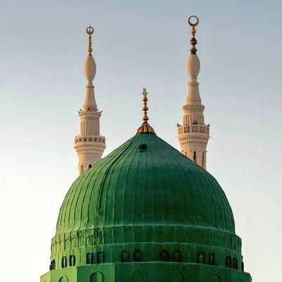 UsuluPezdevi's profile picture