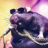 RataGorda profil fotoğrafı