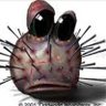 Profilbild von RADITHOR