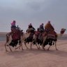 Фото профиля ابومازن