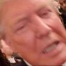 QuesoHead🧀's profile picture