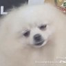 sarah profil fotoğrafı