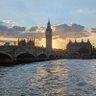 M_J_UK's profile picture