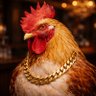 Rooster profil fotoğrafı