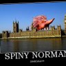 spinny norman🦔💨💨💨💨's profile picture