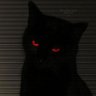 EVE's profile picture