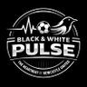 Фото профиля Black & White Pulse