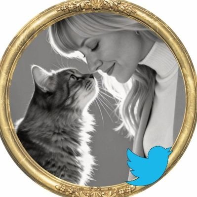 𝑆𝑜𝑛𝑖@ 🐦🇨🇭🇮🇹🇫🇷's profile picture