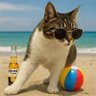 Timy Factos profil fotoğrafı