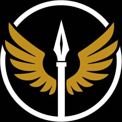 ValkyrieXStudio's profile picture