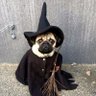 p 🧙♂️ 的头像
