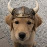 Фото профиля Buddy