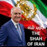 Profilbild von پری،❤️❤️