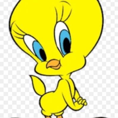 Grazielafanitta's profile picture