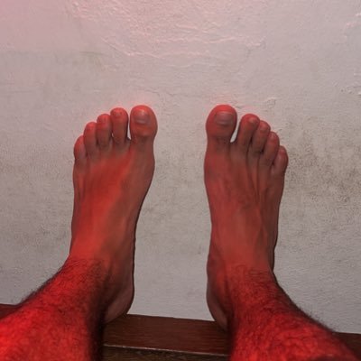 Mestre Monteiro's profile picture