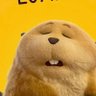 Profilbild von That1Guy