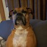 Profilbild von Buster Canavan