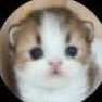 rina's profile picture