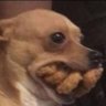 sarita(✿◡‿◡)'s profile picture