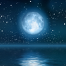 lisamoon2006's profile picture