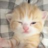 rawewa profil fotoğrafı