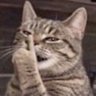 aidoge's profile picture
