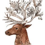 SarahJo87930661's profile picture