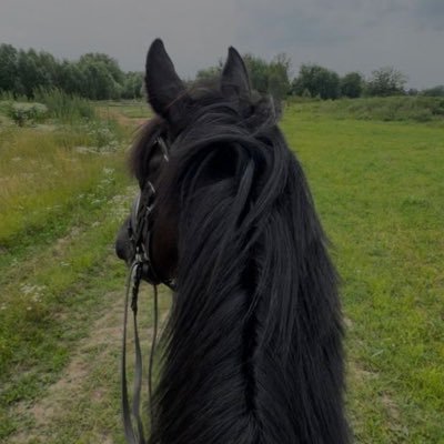NinRicky_22's profile picture