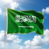 وادي الجوهـر profil fotoğrafı