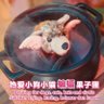 Фото профиля 武漢ノ毒