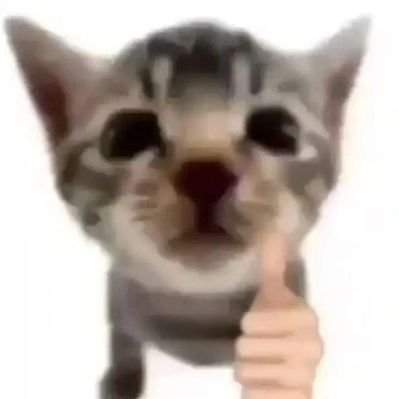 eutella_'s profile picture