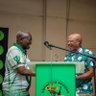 Yandisa Mawela's profile picture