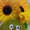 Фото профиля na-mi217🐧🌻👑🍯