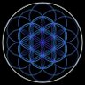 Profilbild von not of this “whirled”
