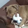 Luis y Rita's profile picture