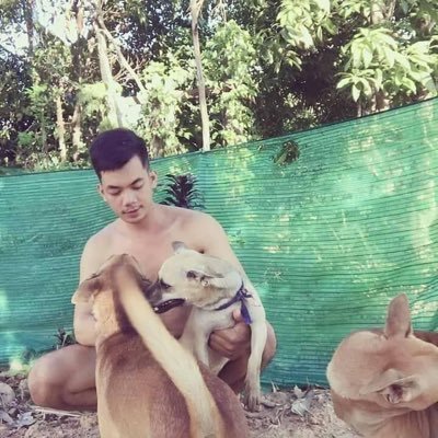 ddfunfair2024's profile picture