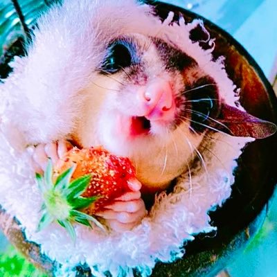 里もも's profile picture