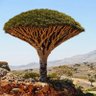 Фото профиля ابو الرجــال ..