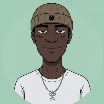 sty_defi's profile picture