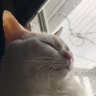 Profilbild von リュウイチ